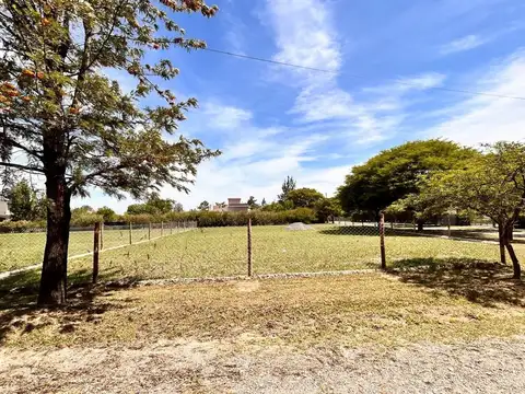 Cerrillos. Santa Apolonia. Mza 50. Lote 100