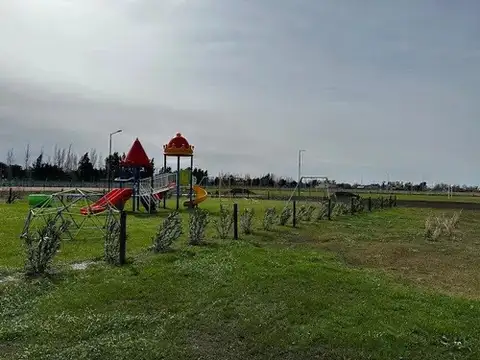 FINCAS DE SAN VICENTE - FINCAS JOVEN 1600