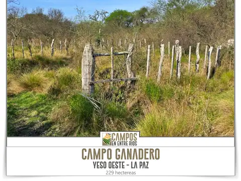 Campo en Venta de 229  ha