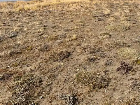 Terreno en Venta 20  mts Frente