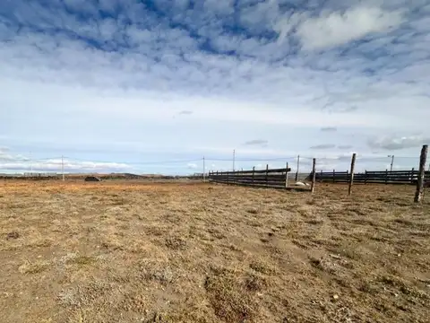 P18BRF MZ 2000 SECC X 100