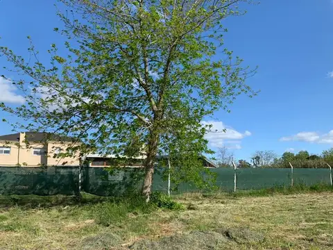 Terreno en Venta en Villa Elisa, USD 51.500