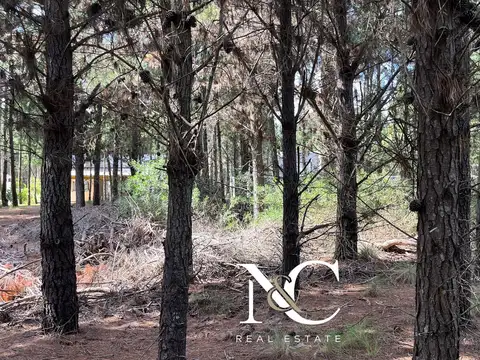 Senderos IV Lote al 500