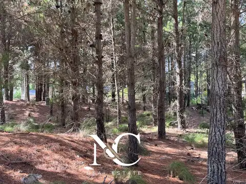 Lote en venta en Costa Esmeralda arbolado