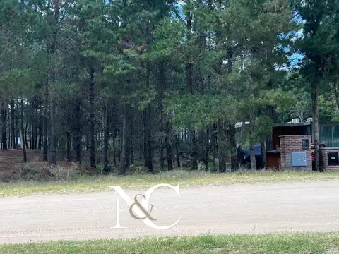 Senderos IV Lote al 500