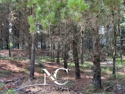 Terreno en Venta de 905,0 m2