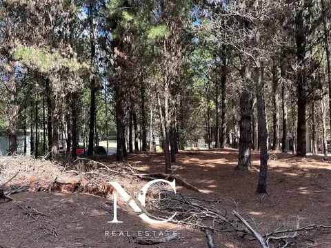 Lote en venta en Costa Esmeralda arbolado