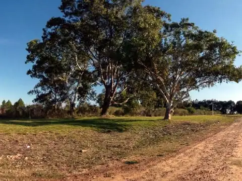 Terreno en Venta de 480,0 m2