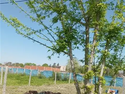 Terreno en Venta de 172,0 m2