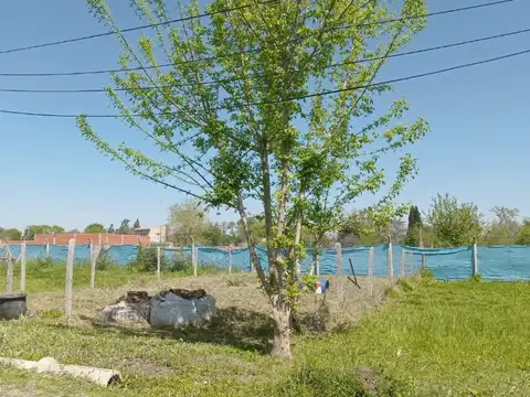 Terreno en Venta 8,60  mts Frente