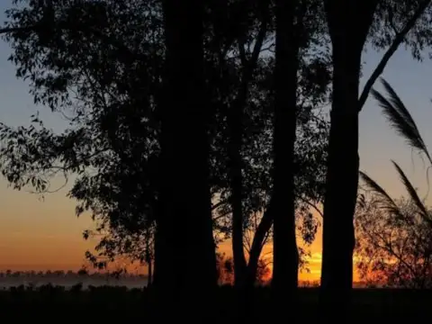 Terreno en Venta de 1138,0 m2