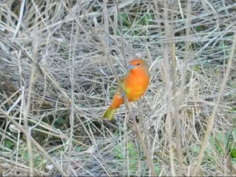 VENTA TERRENO CAMPO TIMBÓ CLUB DE CAMPO Y GOLF
