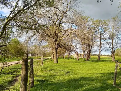 OPORTUNIDAD UNICA en Cañuelas, Chacra de 9 hectáreas