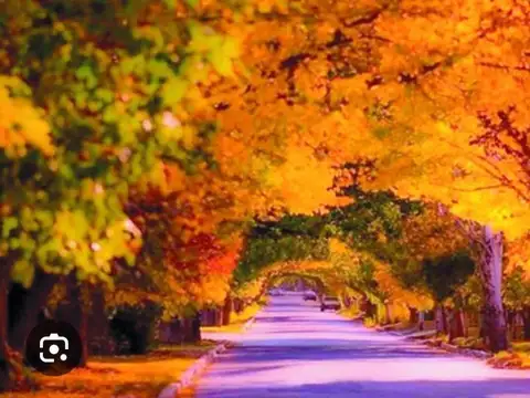 Terreno en Venta en Chacras De Coria, USD 110.000