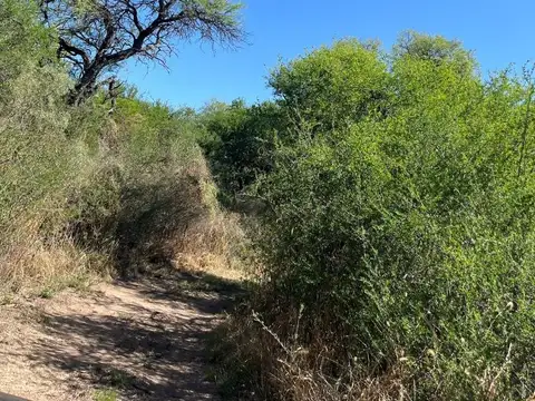 Terreno en Venta de 192000,0 m2