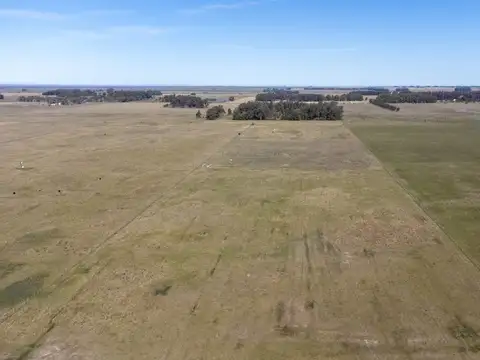 Camino viejo entre los colonos y reconquista