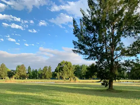 Terreno en Venta de 1133,0 m2