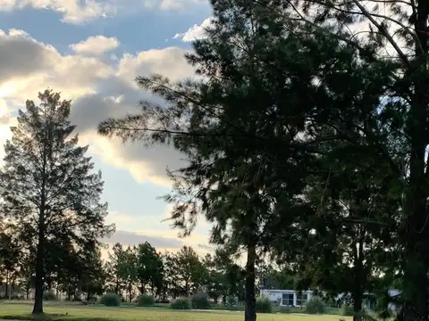 Ruta 2 km 72, Coronel Brandsen