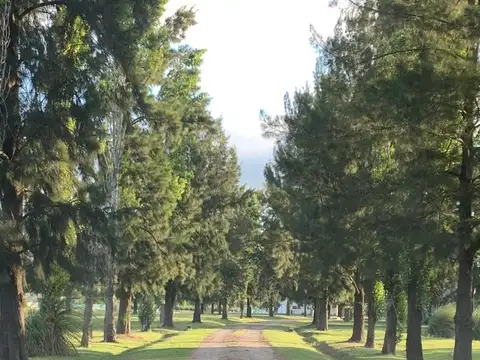 Terreno en Venta de 1133,0 m2