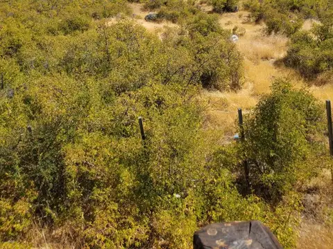 Venta de Terreno 2 Ha. en Cholila Chubut