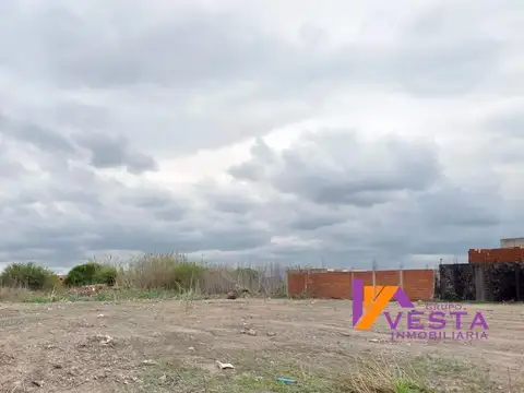 BARRIO AMPLIACION SAN CARLOS 100