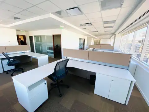 Oficina en Alquiler A Estrenar