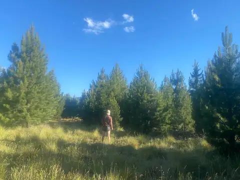 Manzana C 1  Lotes 11