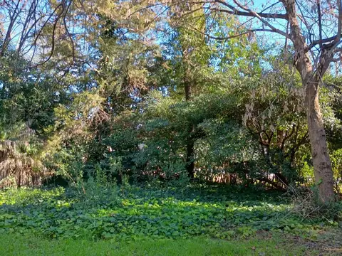 Casa en Alquiler al Norte