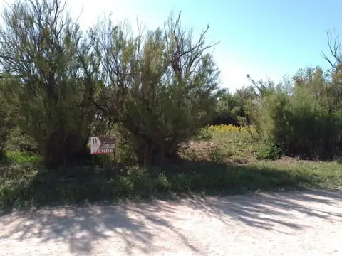 Terreno en Venta 27  mts Fondo