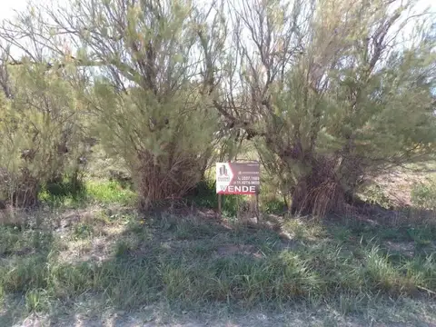 calle 17 entre 34 y 36