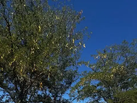 Terreno en Venta en Villa Del Parque, USD 105.000