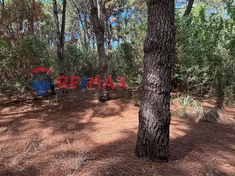 Terreno en Venta en Costa Del Este, USD 57.000