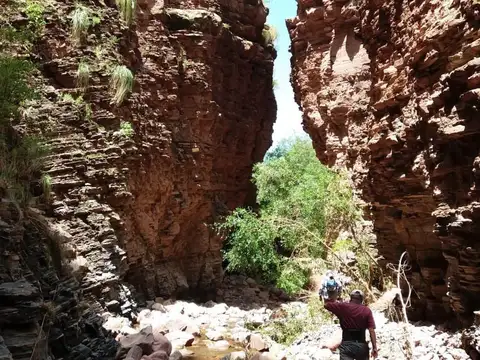 Campo agricola , ganadero,minero  - Patquia la Rioja