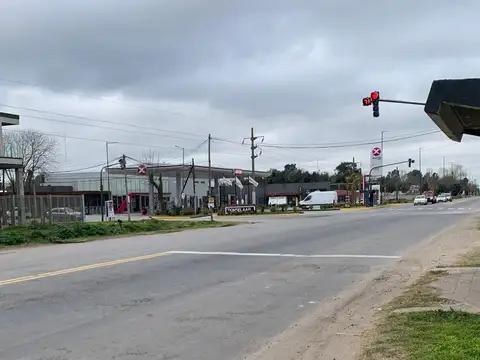 31 hectáreas frente a la entrada de Domselaar