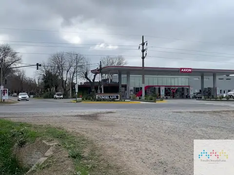 31 hectáreas frente a la entrada de Domselaar