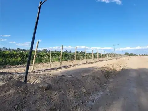 Terreno en Venta de 800,0 m2