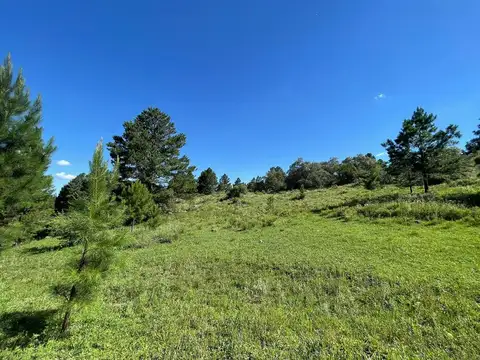 SE VENDE LOTE DE 4 HECTAREAS EN SAN CLEMENTE