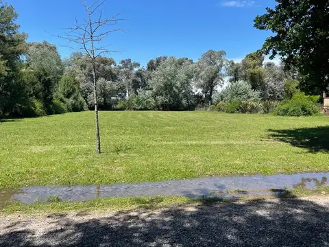 Terreno en Venta 65  mts Fondo