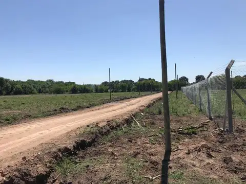 Terrenos en venta - 600 mts2 - Arturo Seguí, La Plata