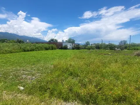 Campo Quijano. Aires de Quijano. Mza 100