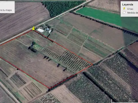 9 has de campo con mejoras y pecanes en venta.