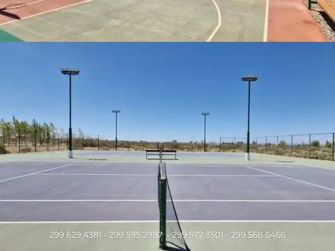 Terreno en Venta 41  mts Fondo