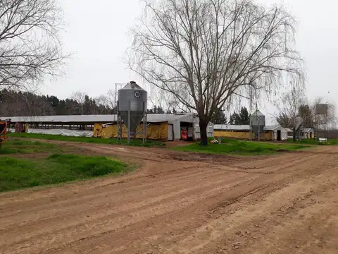 Terreno en Venta en San Pedro, USD 2.600.000