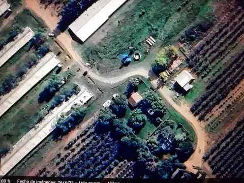 GRANJA EN INMEJORABLE ZONA DE SAN PEDRO, TOTALMENTE EQUIPADA PARA SU EXPLOTACION