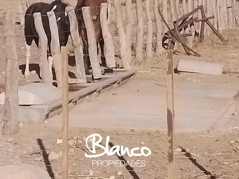 Campo Ganadero La Pampa -