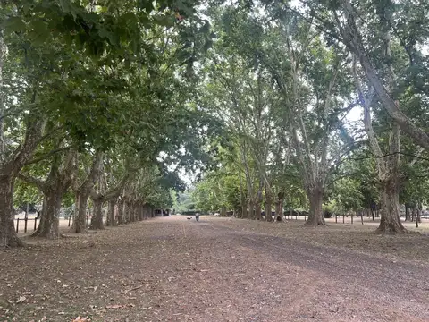 Casa en Alquiler Temporal (con disponibilidad hasta junio) 7 Ambientes en Manzanares, Ruta 6