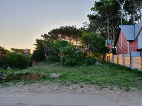 Lebensohn e/Alberdi y Diag Con