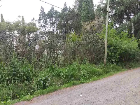 Terreno en Venta de 775,0 m2