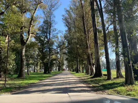 Terreno Venta, Gral. Rodriguez, Tres Pinos, Barrio el Estribo