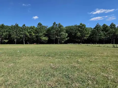 Terreno en Venta en Campos De Roca, USD 20.000